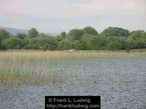Lough McNean